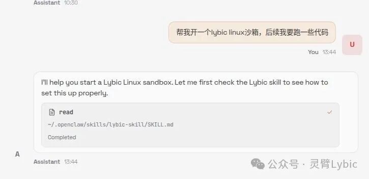 没API也能自动化 Lybic+OpenClaw：让Agent直接接管一切-3.jpeg