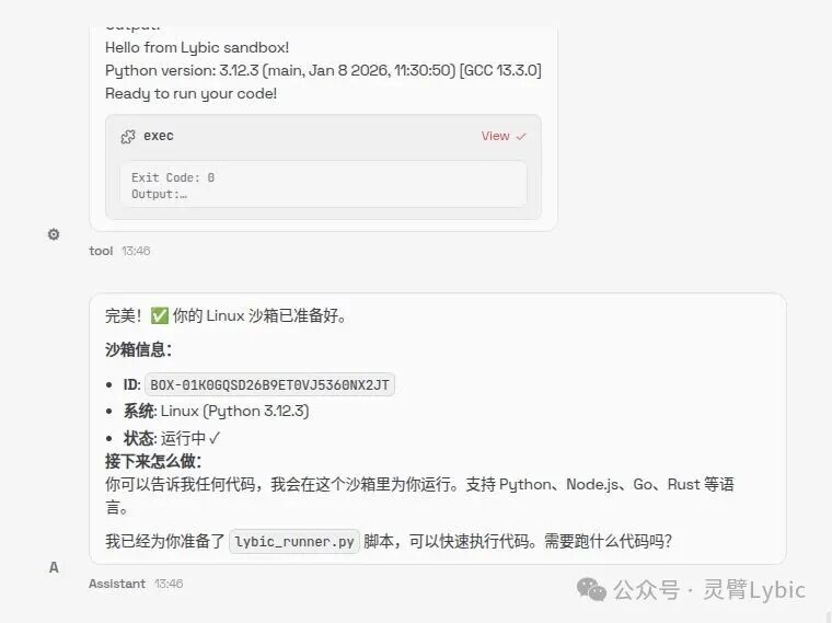 没API也能自动化 Lybic+OpenClaw：让Agent直接接管一切-6.jpeg